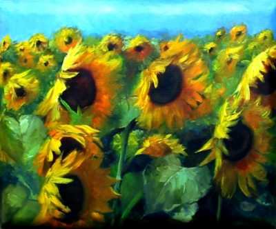 Bright-Sunflowers-IMG_1294